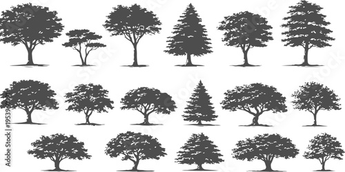 A collection of various tree silhouettes displayed in a clean and organized grid for easy viewing