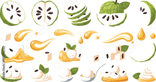 Soursop fruit slices pulp cream splashes and dessert variations tropical cherimoya ingredients flat vector illustration set