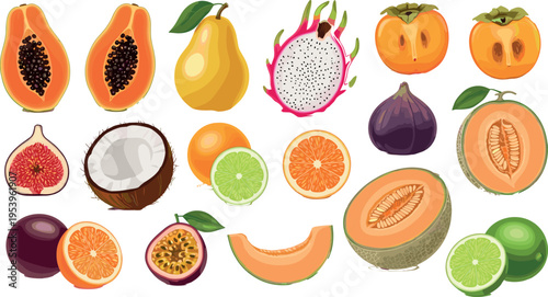 Tropical Fruit Collection Vector Illustration Featuring Papaya Dragon Fruit Mango Fig Coconut Citrus Melon and Passion Fruit Isolated on White Background