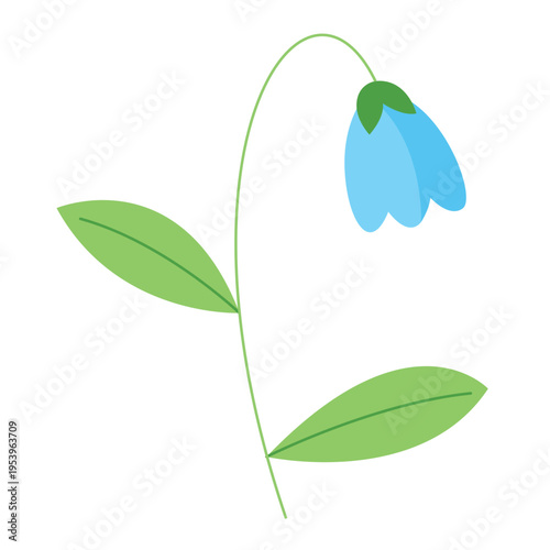 Blue bell flower with green leaves on a white background.