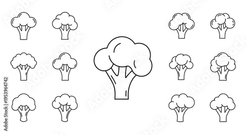 Broccoli Florets Vegetable Line Drawing.