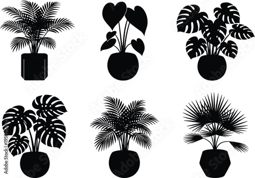 Houseplant silhouettes set, tropical monstera and palm tree in pots vector, black indoor plant leaf icons, decorative botanical garden elements.