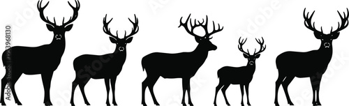 Deer silhouettes with antlers set, buck stag reindeer collection, forest wildlife animal vector icons, black hunting trophy shapes isolated on white.