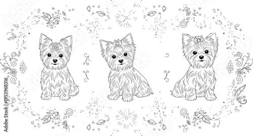 Detailed Yorkshire Terrier Illustration Set with Floral Border and Intricate Line Art for Pet Lovers, Dog Art, and Vintage Style Designs