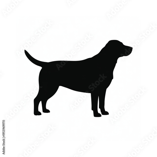 A simple black silhouette of a labrador retriever standing in profile