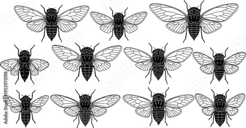 Cicada Insect Silhouette and Line Art Collection with Detailed Wings for Entomology, Nature Illustration, Tattoo Design, Wildlife Graphics, and Decorative Projects