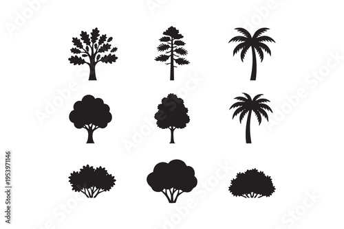 forest tree silhouettes
