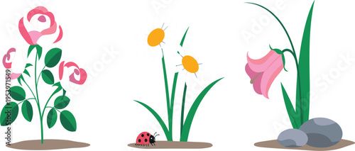 Flat garden vector illustration with pink roses, white daisies, ladybug, bellflower and decorative river stones