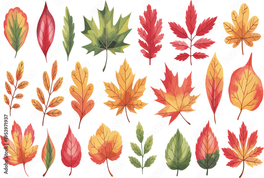 Obraz premium Autumn leaf collection with colorful maple, oak, and forest foliage, watercolor style vector design elements