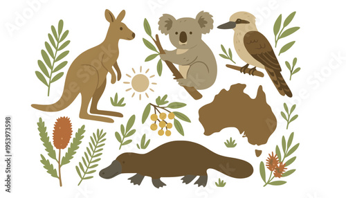 Australian animals and plants illustration with kangaroo, koala, and kookaburra