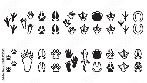 Diverse Collection of Animal and Reptile Footprints and Tracks