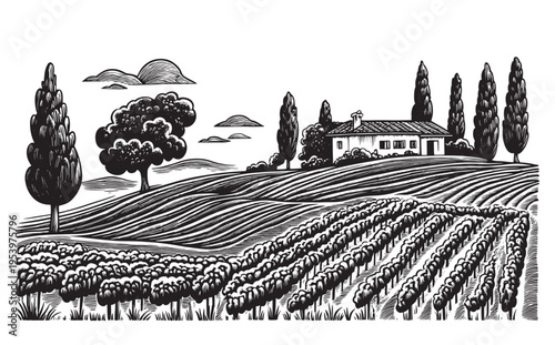 Vineyard landscape illustration with farmhouse and cypress trees