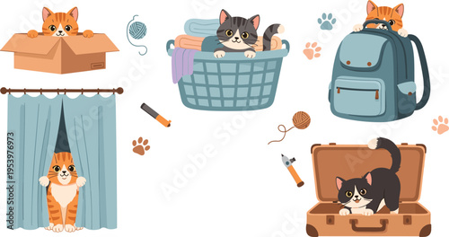 Cute cats hiding in box, laundry basket, backpack and suitcase, playful kittens with yarn and curtains, cozy home cartoon vector illustration set