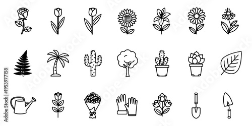 A collection of black and white line drawings of various plants and gardening tools