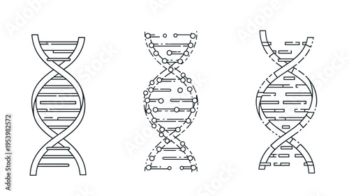Set of three different DNA strand illustrations in line art style shows various ways to represent genetic structures for scientific purposes.