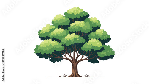 Large leafy green tree with a sturdy brown trunk and spreading branches isolated on a white background for nature concepts.