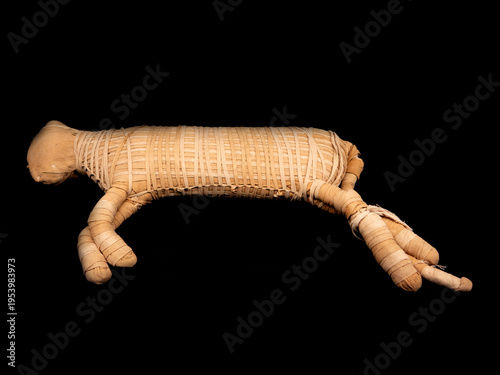 Photos Mummified cat wrapped in linen bandages from Ancient Egypt, used as a votive offering (sacrifice)