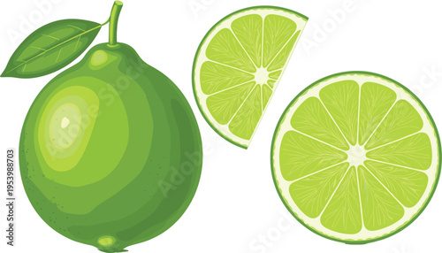 Fresh lime fruit with whole and sliced pieces citrus green juicy ingredient food vector illustration set