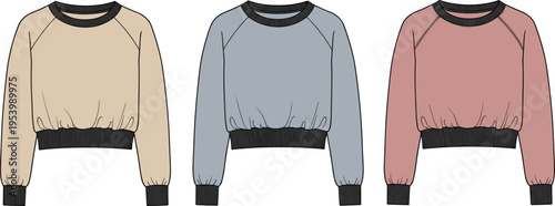 Minimalist cropped sweatshirt illustration set featuring three color variations, casual apparel mockup with ribbed cuffs and hem, modern fashion design template isolated on neutral background