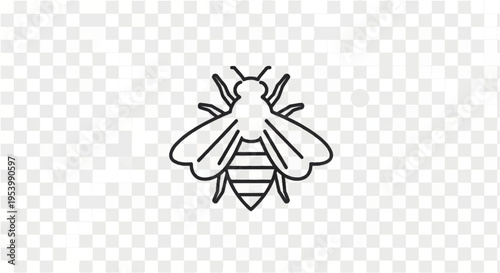 Simple Line Drawing of a Bee.