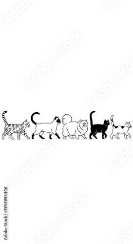 Line of Cats - A Whimsical and Playful Illustration.
