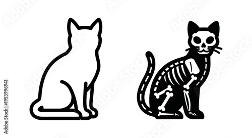 Black and white cat skeleton drawing.