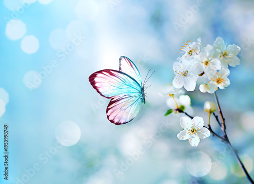 Blossom tree over nature background with butterfly. Spring flowers. Spring background. Blurred concept.