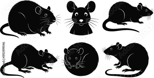 Rat and mouse silhouettes set, black and white illustration of rodents in various poses, wildlife and pest animal design collection