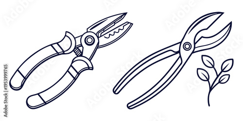 Two types of pruning shears used for gardening and plant maintenance