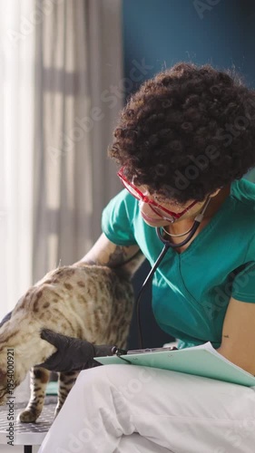 A veterinarian examines a cat in a clinic. The vet checks the cat's health using a stethoscope. The cat is calm during the checkup. Papers are on the table nearby.