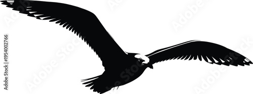Flying seagull vector silhouette, black and white bird illustration, coastal wildlife graphic, soaring sea gull isolated on white, nautical design.