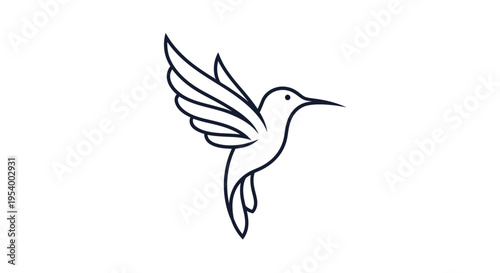 Hummingbird in Flight with Wings Spread.