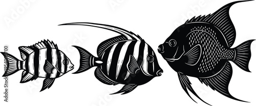 Tropical reef fish vector illustrations, black and white exotic sea life silhouettes, hand drawn aquatic animals, nautical design elements, icons, ocean.