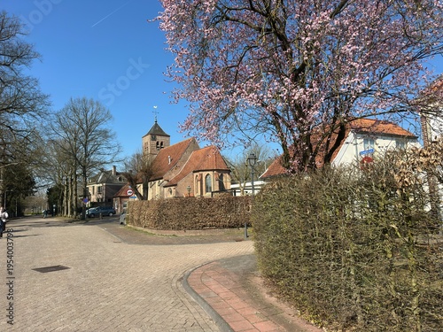 Obraz na płótnie Spring blossom by the historic Martinuskerk in Warnsveld, with a sunny blue sky above the village street and red‑tiled rooftops