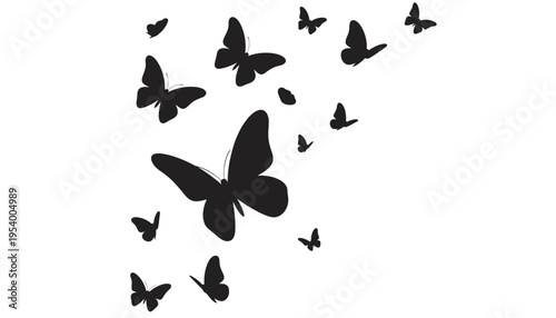 A butterfly silhouette illustration of a flock flying together in black.