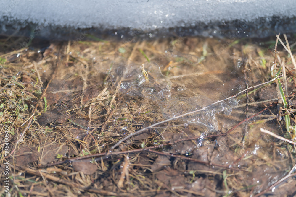 Fototapeta premium Snowline retreat over muddy grass and tiny ice crystals, thin snow edge melting into wet earth, subtle glints and damp soil textures capturing early spring thaw and seasonal shift