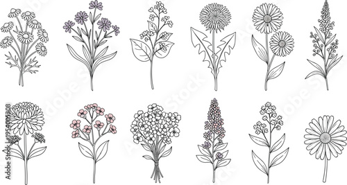 Set of Hand Drawn Wildflower Branches and Floral Bouquets in Minimalist Line Art Style Featuring Chamomile Dandelion and Lavender Isolated on White Background.