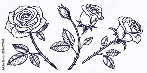 Elegant black and white illustration of roses with delicate leaves and stems