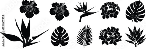 Vector illustration of tropical plant and flower silhouettes including hibiscus, bird of paradise, monstera leaf, palm frond, aloe design