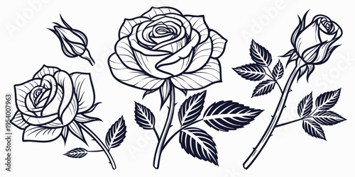 Elegant black and white illustration of roses in various stages of bloom