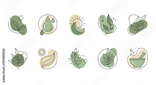 Nature and Organic Lifestyle Icon Set Featuring Leaf Plant Herbal Eco Living Sustainability and Natural Health Concept