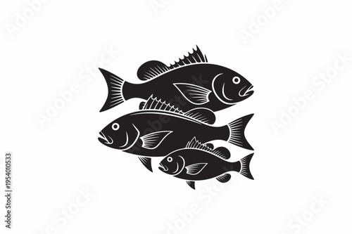 Saltwater Red Snapper fish vector silhouettes black color image..eps