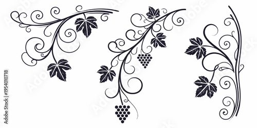 Delicate black and white floral design with intricate leaf patterns