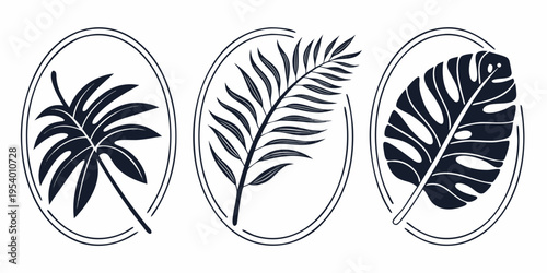 Three distinct leaf illustrations showcasing the beauty of nature's diverse foliage