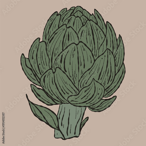Detailed Artisan Artichoke Illustration. Hand-Drawn Botanical Vegetable Vector for Gourmet Mediterranean Menus and Organic Food Branding
