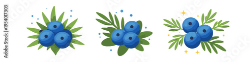Set of three stylized illustrations featuring clusters of ripe blueberries with green leaves