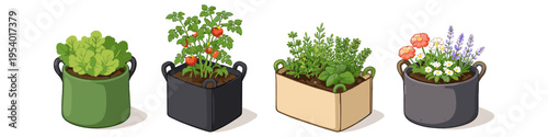 Various potted plants including vegetables, herbs, and flowers in different containers