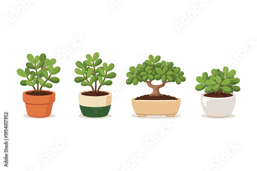 Collection of four potted jade plants in various decorative containers