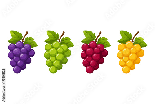 Four bunches of grapes in different colors: purple, green, red, and yellow