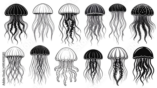 Jellyfish silhouette vector set with flowing tentacles, marine life artwork, underwater sea creature illustration, black and white flat CAD-style design